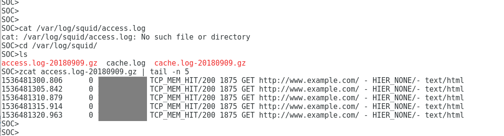 How to Configure NGFW to Redirect Web Traffic to a Squid Proxy