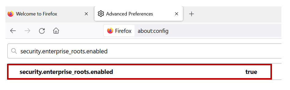 Firefox gives certificate warning when accessing applications via ...