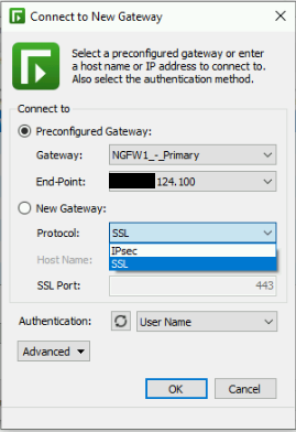 How to Use SSL when Connecting to a Preconfigured Gateway with Windows ...